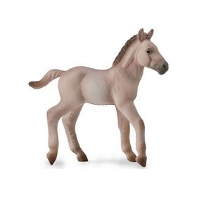COLLECTA TAY
