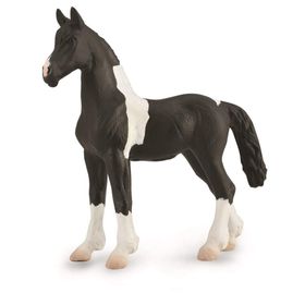 COLLECTA TAY