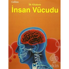 Collins İlk Kitabım - İnsan Vücudu / Kollektif / Mavi Kelebek Yayınları
