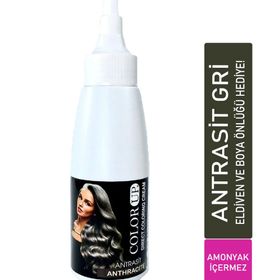 Color Up Antrasit Gri 120 ml Yarı Kalıcı Saç Boyası