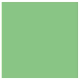Colorama Summer Green 272x1100 cm Stüdyo Kağıt Fon
