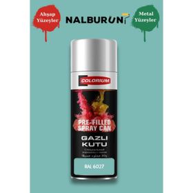 Colorıum Ral 6027 Açık Yeşil 213 400 ml Özel Renklendirilmiş Selülozik Parlak Sprey Boya