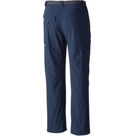 Columbia Silver Ridge Cargo Erkek Şort