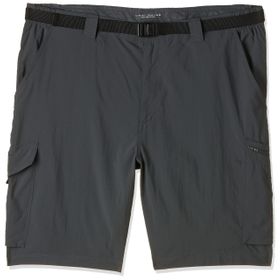 Columbia Silver Ridge Kargo Erkek Şort