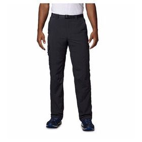 Columbia Silver Ridge Kargo Erkek Şort
