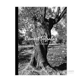 Cömert Sofralar - Aysel Cömert