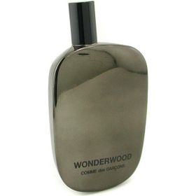 Comme Des Garcons Wonderwood EDP 100 ml Unisex Parfüm