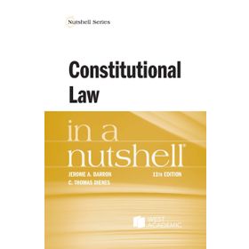 Constitutional Law in a Nutshell - Engin Saygın