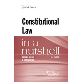 Constitutional Law in a Nutshell - Engin Saygın