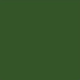 Conte A Paris Olive Green Pastel Boya Kalemi
