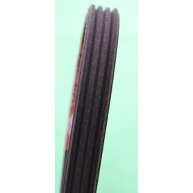 Contitech 4PK860 Elastik Otomotiv Kayışı