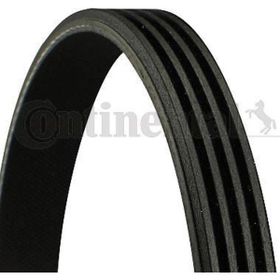 Contitech 4PK925 Kanallı Tempra Triger Kayışı
