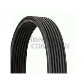 Contitech 6DPK1215 Otomotiv Kayışı