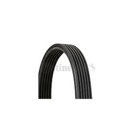 Contitech 6DPK1215 Otomotiv Kayışı