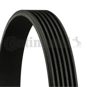 Contitech 6PK1685 Otomotiv Kayışı