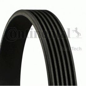 Contitech 6PK923 Kanallı Kayış