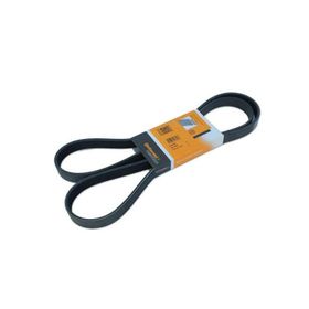 Contitech 8DPK1833 Otomotiv Kayışı