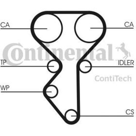 Contitech CT987 Eksantrik Kayışı