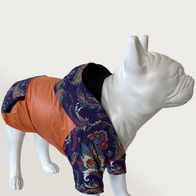 Cool Suit M Birdy Turuncu Köpek Kıyafeti