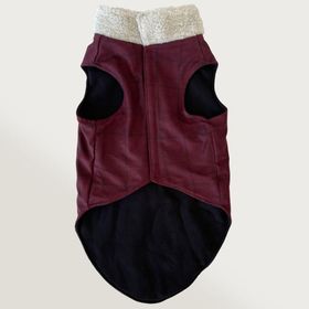 Cool Suit M Oldie Bordo Köpek Kıyafeti