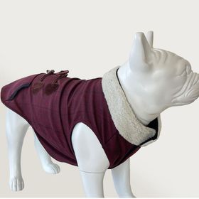 Cool Suit M Oldie Bordo Köpek Kıyafeti