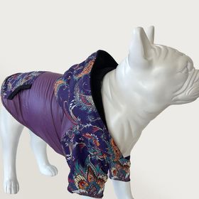 Cool Suit XL Birdy Mor Köpek Kıyafeti