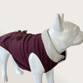 Cool Suit XL Oldie Bordo Köpek Kıyafeti