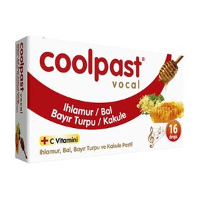 Coolpast 16 Adet Pastil