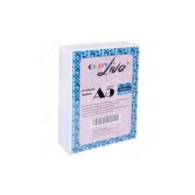 Copy Liva 80 gr 2 Paket 1000 Sayfa A5 Fotokopi Kağıdı