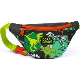 Coral High 12630 Kids Gri Yeşil Dinozor Desenli Bel Çantası