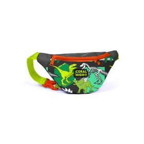 Coral High 12630 Kids Gri Yeşil Dinozor Desenli Bel Çantası