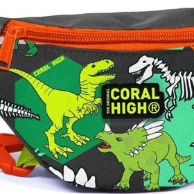 Coral High 12630 Kids Gri Yeşil Dinozor Desenli Bel Çantası