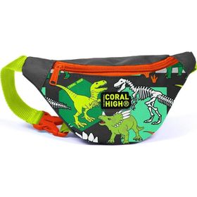 Coral High 12630 Kids Gri Yeşil Dinozor Desenli Bel Çantası