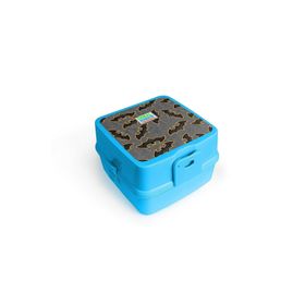 Coral High 32990 Beslenme Kabı
