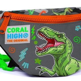 Coral High Gri Yeşil Dinazor Erkek Çocuk Günlük Bel Çantası