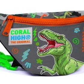 Coral High Gri Yeşil Dinazor Erkek Çocuk Günlük Bel Çantası
