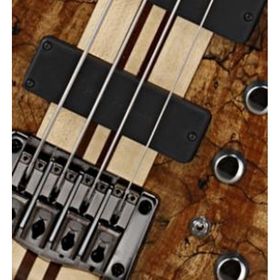 Cort A4 Custom Spnatw Bas Gitar