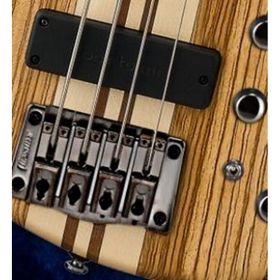 Cort A4-Custom-Z-OPN Bass Gitar