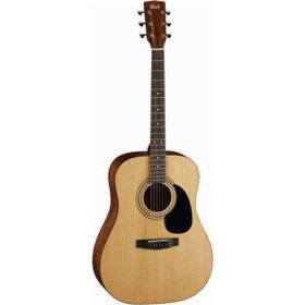 Cort AD880CENATW Kılıf ve Penalı Elektro Akustik Gitar