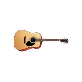 Cort AD880NS Akustik Gitar