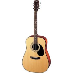 Cort AD880NS Akustik Gitar