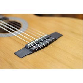 Cort CEC1 Klasik Gitar