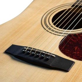 Cort Earth 60 OP Open Pore Akustik Gitar
