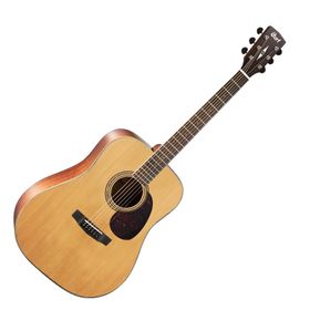 Cort EARTH100NS Akustik Gitar