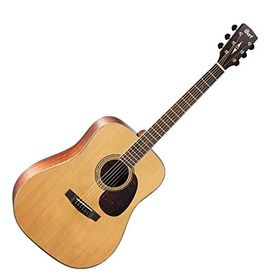 Cort EARTH100NS Akustik Gitar