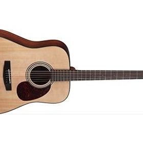 Cort EARTH20TH FNAT Akustik Gitar