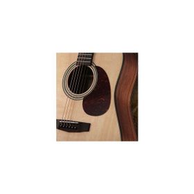 Cort EARTH20TH FNAT Akustik Gitar