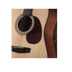 Cort EARTH20THFNAT Elektro Akustik Gitar