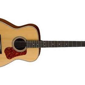 Cort L100 ONS Akustik Gitar