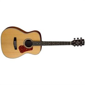 Cort L100 ONS Akustik Gitar